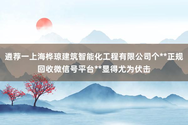 遴荐一上海桦琼建筑智能化工程有限公司个**正规回收微信号平台**显得尤为伏击